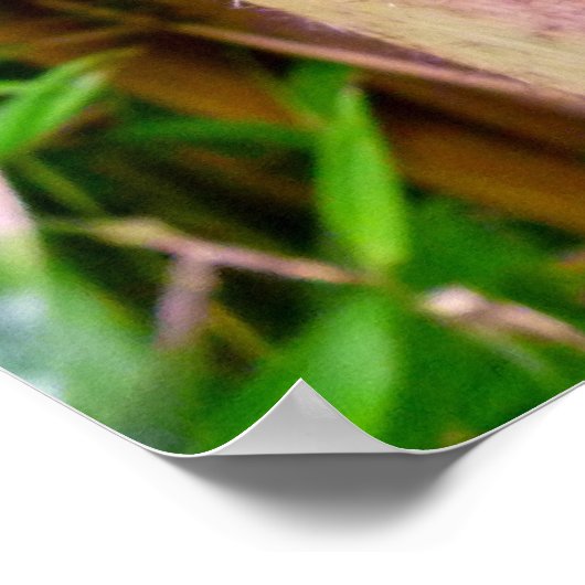 Bamboe Poster (Hoek)