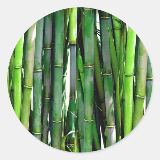 BAMBOE RONDE STICKER (Voorkant)