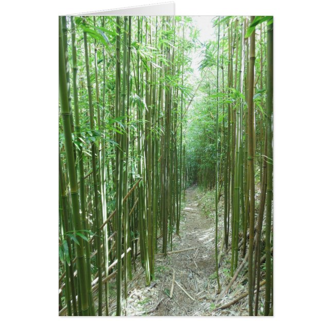Bamboe Trail (Voorkant)