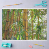 Bamboe Trees ontkoppelen 15 achtergrondpapier Tissuepapier (Craft)