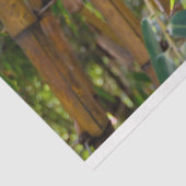 Bamboe Trees ontkoppelen 15 achtergrondpapier Tissuepapier (Detail)