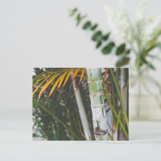 Bamboe van Mexico Briefkaart (Staand voorkant)
