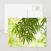 Bamboebladeren Briefkaart (Voorkant / Achterkant)