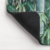 Bamboebomen, Kumamoto, Japan Muismat (Hoek)