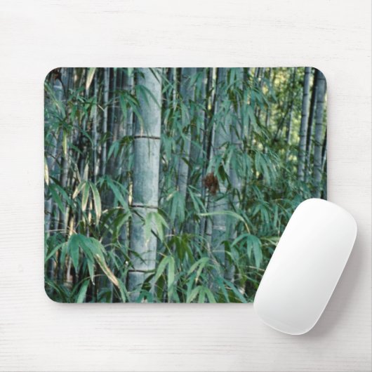 Bamboebomen, Kumamoto, Japan Muismat (Met muis)