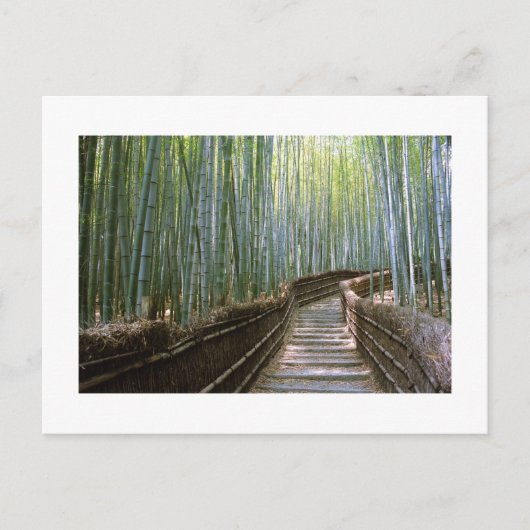 Bamboebos in Sagano, Kyoto Briefkaart (Voorkant)