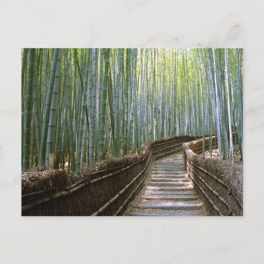 Bamboebos: Kyoto, Japan Briefkaart (Voorkant)