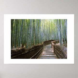 Bamboebos: Kyoto, Japan Poster