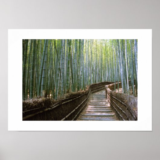 Bamboebos: Kyoto, Japan Poster (Voorkant)