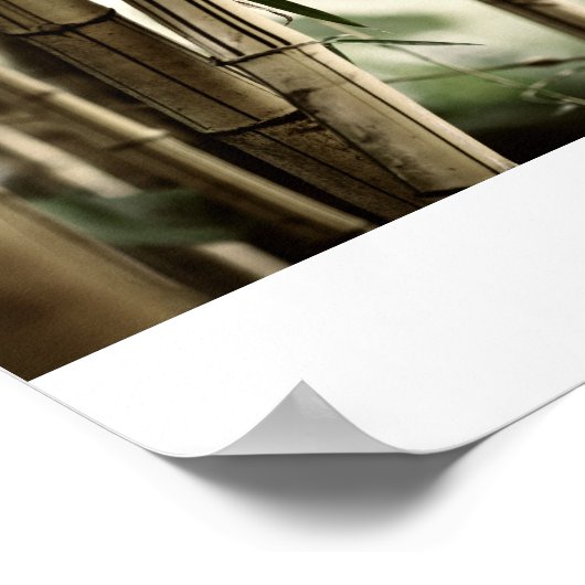 Bamboebos Poster (Hoek)