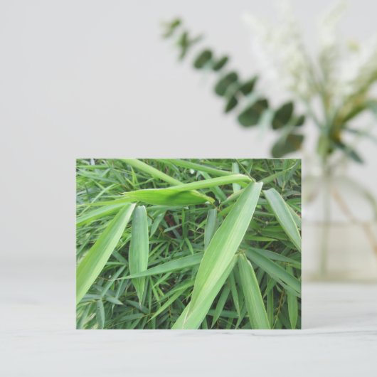 Bamboegras Briefkaart (Staand voorkant)