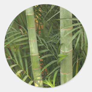 bamboestel ronde sticker