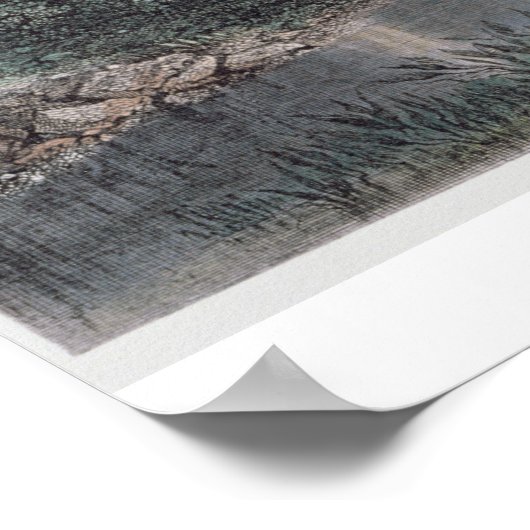 Bamboo Aqueduct in Hong Kong, gegraveerd door Henr Poster (Hoek)