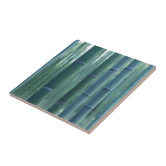 Bamboo Break Tegeltje (Zijkant)