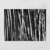 Bamboo Briefkaart (Voorkant)