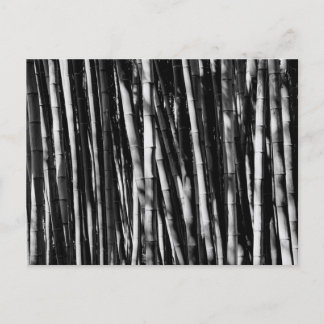 Bamboo Briefkaart