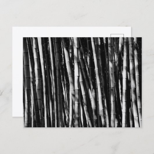 Bamboo Briefkaart (Voorkant / Achterkant)