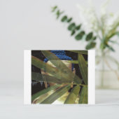 Bamboo Buddha Briefkaart (Staand voorkant)