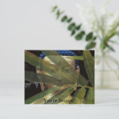 Bamboo Buddha Kaart (Staand voorkant)