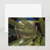 Bamboo Buddha Kaart (Voorkant / Achterkant)