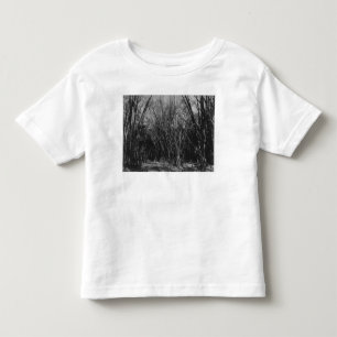 Bamboo Clump, Trinidad, c.1891 Kinder Shirts