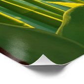 bamboo forest with red callas perfect poster (Hoek)
