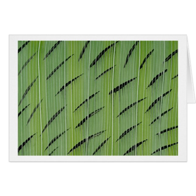 Bamboo Greens (Voorkant Horizontaal)