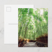 Bamboo Grove | Arashiyama, Kyoto, Japan Briefkaart (Voorkant / Achterkant)