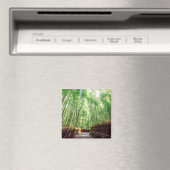 Bamboo Grove | Arashiyama, Kyoto, Japan Magneet (Insitu (Vaatwasser))