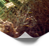 Bamboo Grove | Arashiyama, Kyoto, Japan Poster (Hoek)