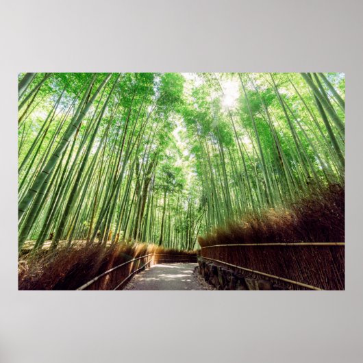 Bamboo Grove | Arashiyama, Kyoto, Japan Poster (Voorkant)