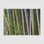 Bamboo Grove Natuurlijke Fotografie Tissuepapier (Voorkant)