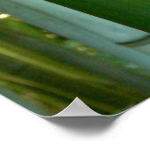Bamboo Grove Poster (Hoek)