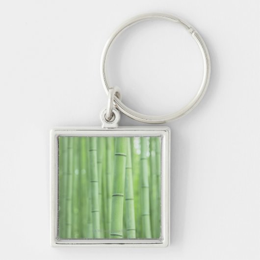 Bamboo Grove Sleutelhanger (Voorkant)