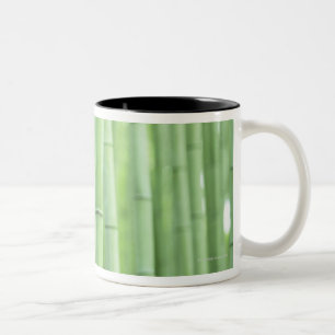 Bamboo Grove Tweekleurige Koffiemok