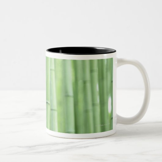 Bamboo Grove Tweekleurige Koffiemok (Rechts)