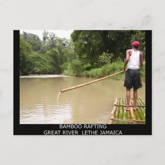 Bamboo Rafting Great River Lethe Jamaica Briefkaart (Voorkant)