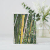 Bamboo Reeds Briefkaart (Staand voorkant)