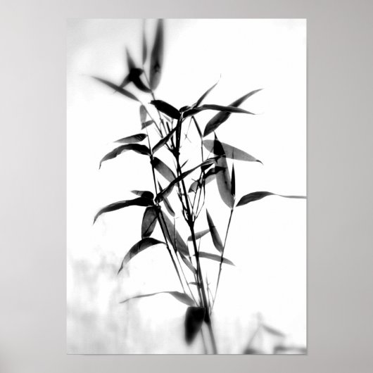 Bamboo Sillouette Poster (Voorkant)