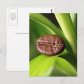 Bambus Kaffeebohne Briefkaart (Voorkant / Achterkant)