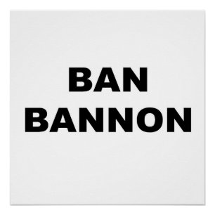 Ban Bannon Perfect Poster