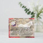 Ban Horse Slaughter and Save Wild Horses/ Burros Briefkaart (Staand voorkant)