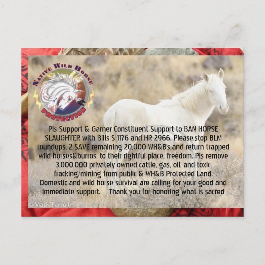 Ban Horse Slaughter and Save Wild Horses/ Burros Briefkaart (Voorkant)