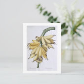 Banaan, 1816 briefkaart (Staand voorkant)