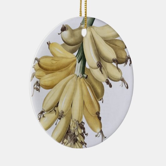 Banaan, 1816 keramisch ornament (Rechts)