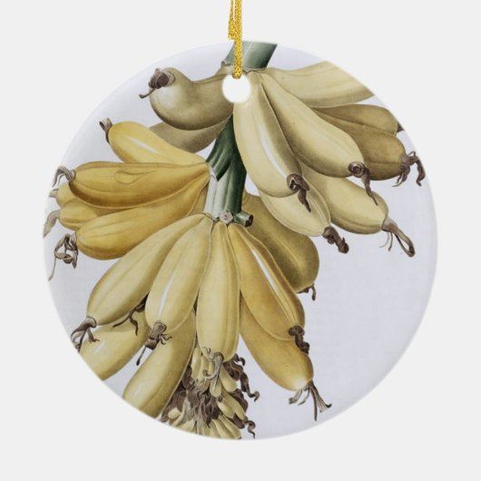 Banaan, 1816 keramisch ornament (Achterkant)