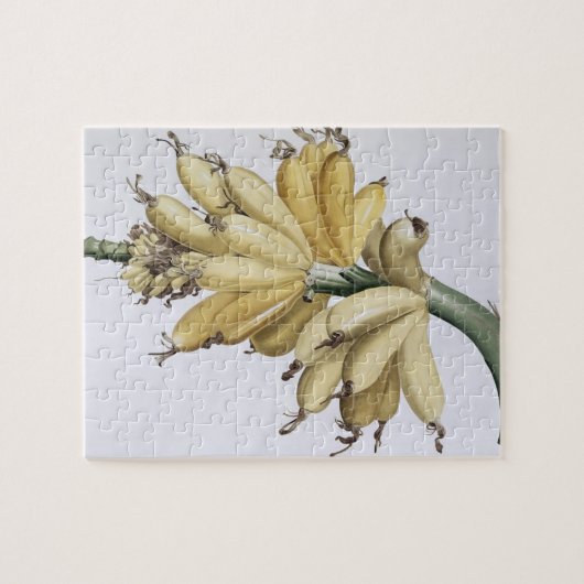 Banaan, 1816 legpuzzel (Horizontaal)