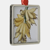 Banaan, 1816 metalen ornament (Rechts)