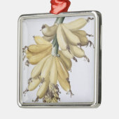 Banaan, 1816 metalen ornament (Links)