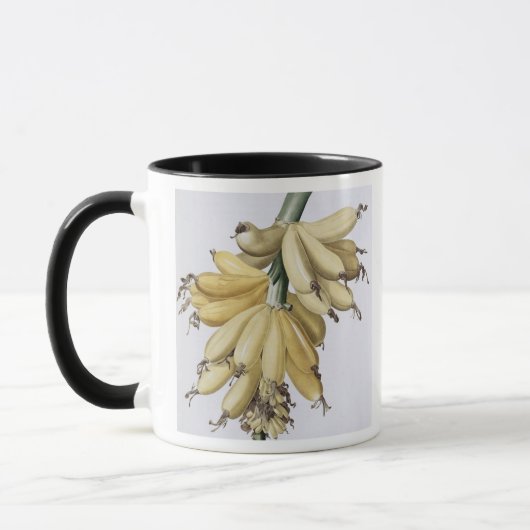 Banaan, 1816 mok (Links)